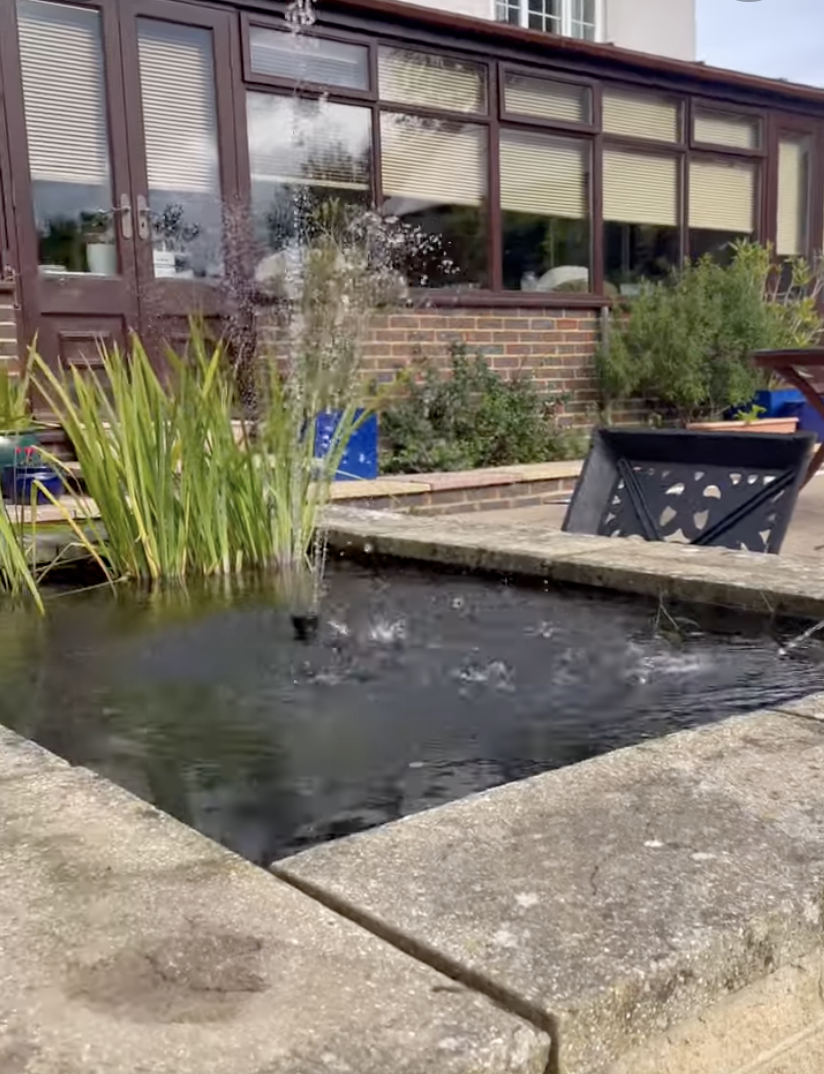 Pond Services